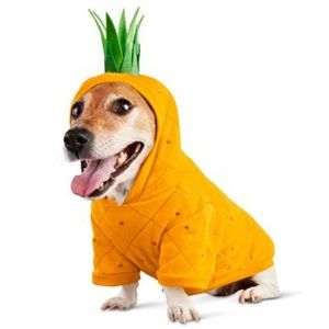 Petco Dog Pineapple Hoodie NWT🍍✨